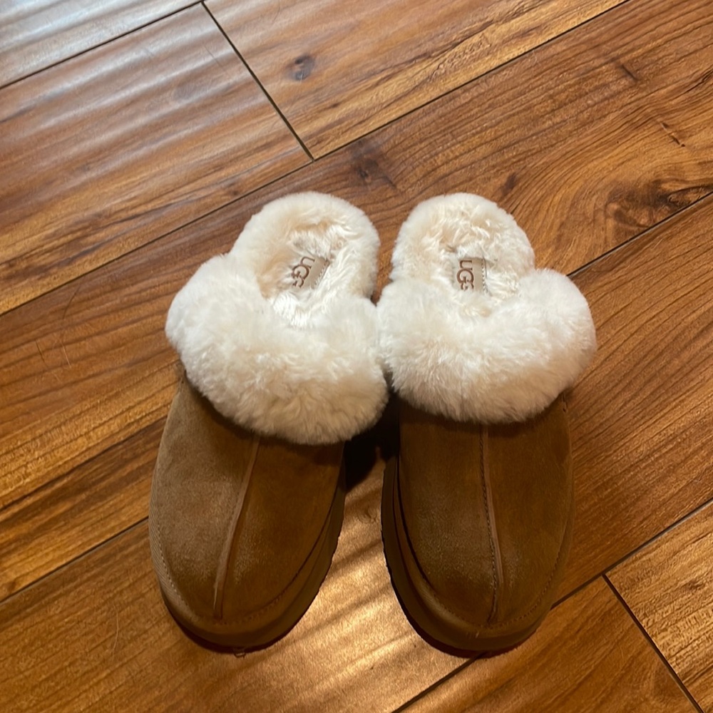Disquette style slipper. It was too small but basically new condition. sn1122550